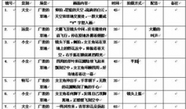 视频脚本,一场视觉与情感的盛宴